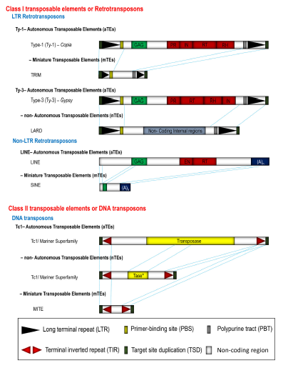 Key Figure